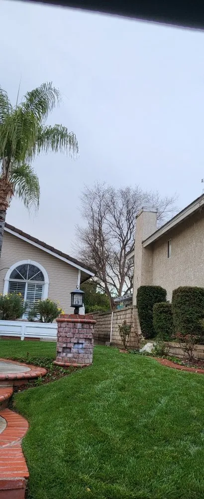 Affordable landscaping services experts serving Santa Clarita, CA - Landscaping Batres