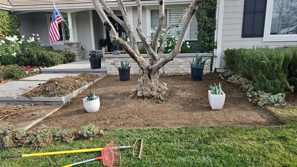 Trusted yard cleanup service near you across Santa Clarita, CA - Landscaping Batres