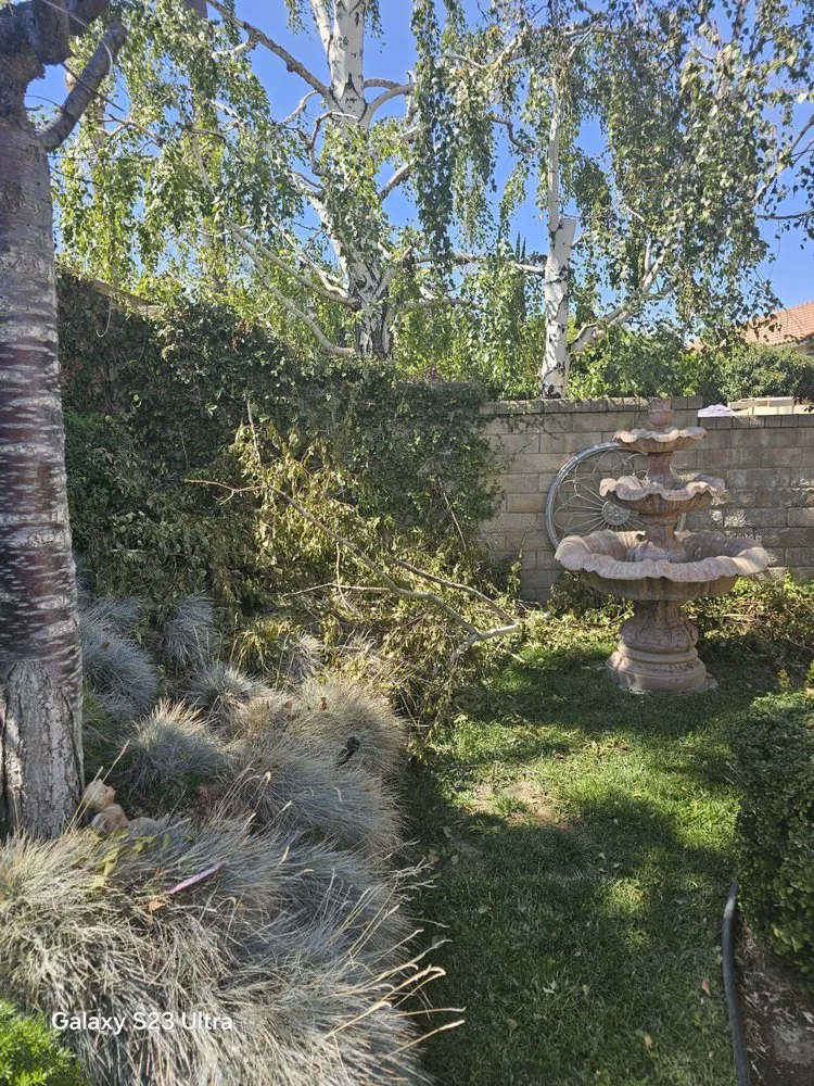 Custom outdoor landscaping in Santa Clarita, CA by Landscaping Batres