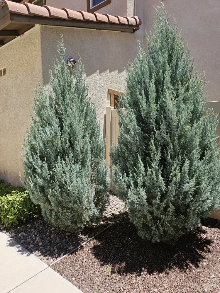 Professional residential landscaping for homes in Santa Clarita, CA by Landscaping Batres