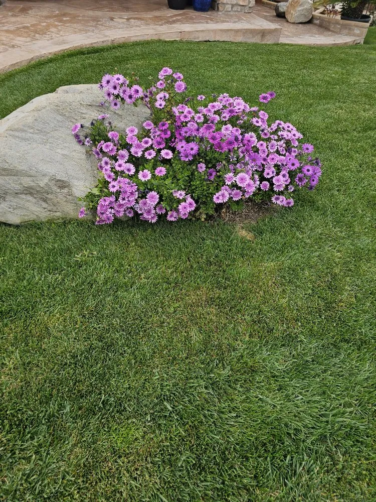 Local yard cleanup service for beautiful yards in Santa Clarita, CA by Landscaping Batres