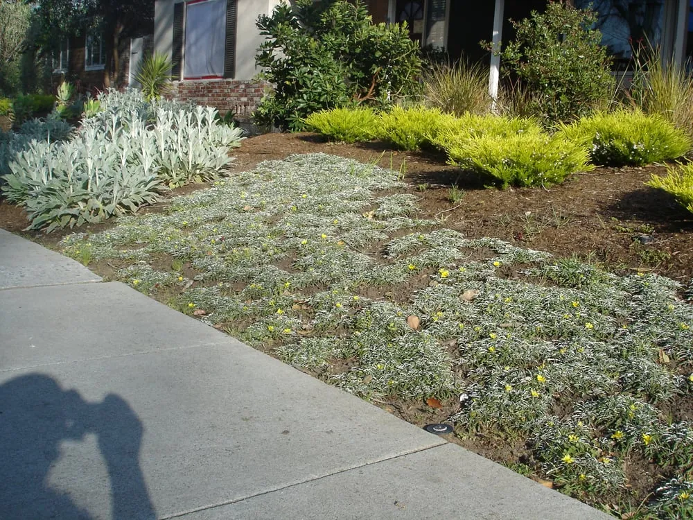 Custom landscaping services in Redwood City, CA by Landscaping Bay Area