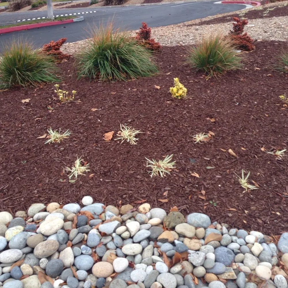 Reliable garden landscaping with custom design in Redwood City, CA by Landscaping Bay Area