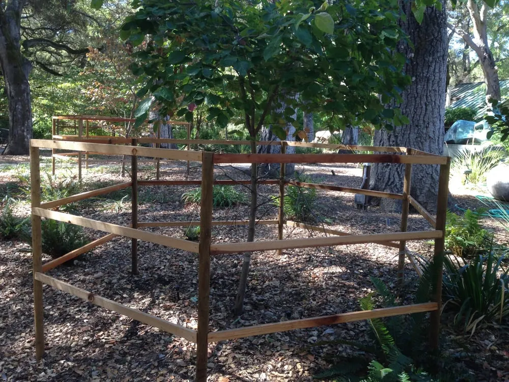 Trusted yard maintenance experts serving Redwood City, CA - Landscaping Bay Area