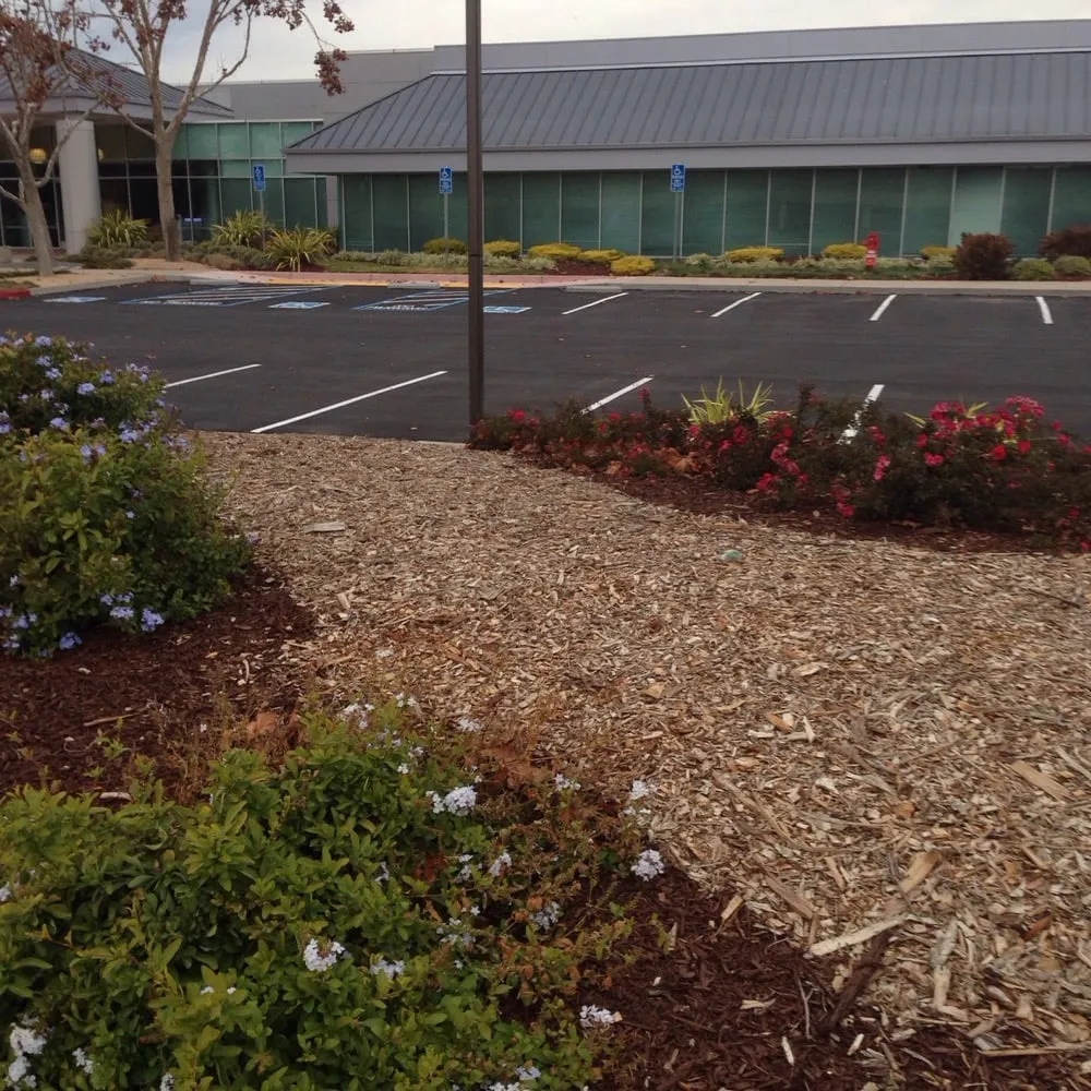 Professional lawn mowing service experts serving Redwood City, CA - Landscaping Bay Area