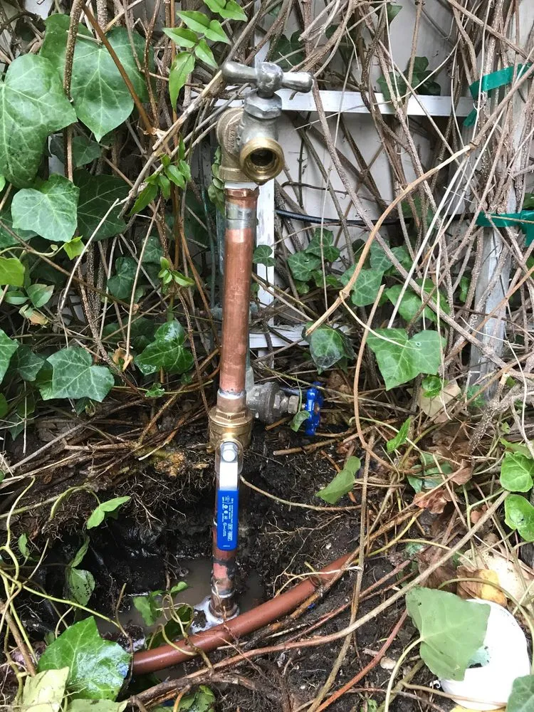 Trusted lawn care service for residential properties across Redwood City, CA - Landscaping Bay Area