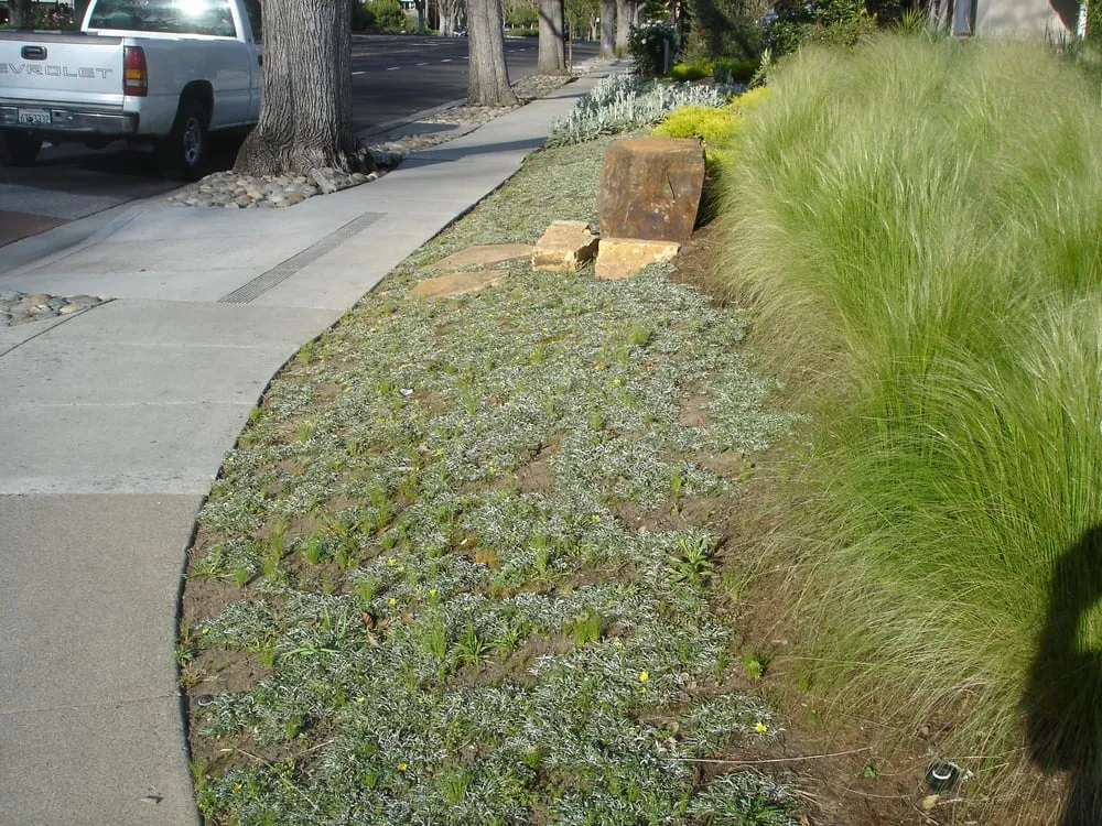 Custom landscaping services experts serving Redwood City, CA - Landscaping Bay Area