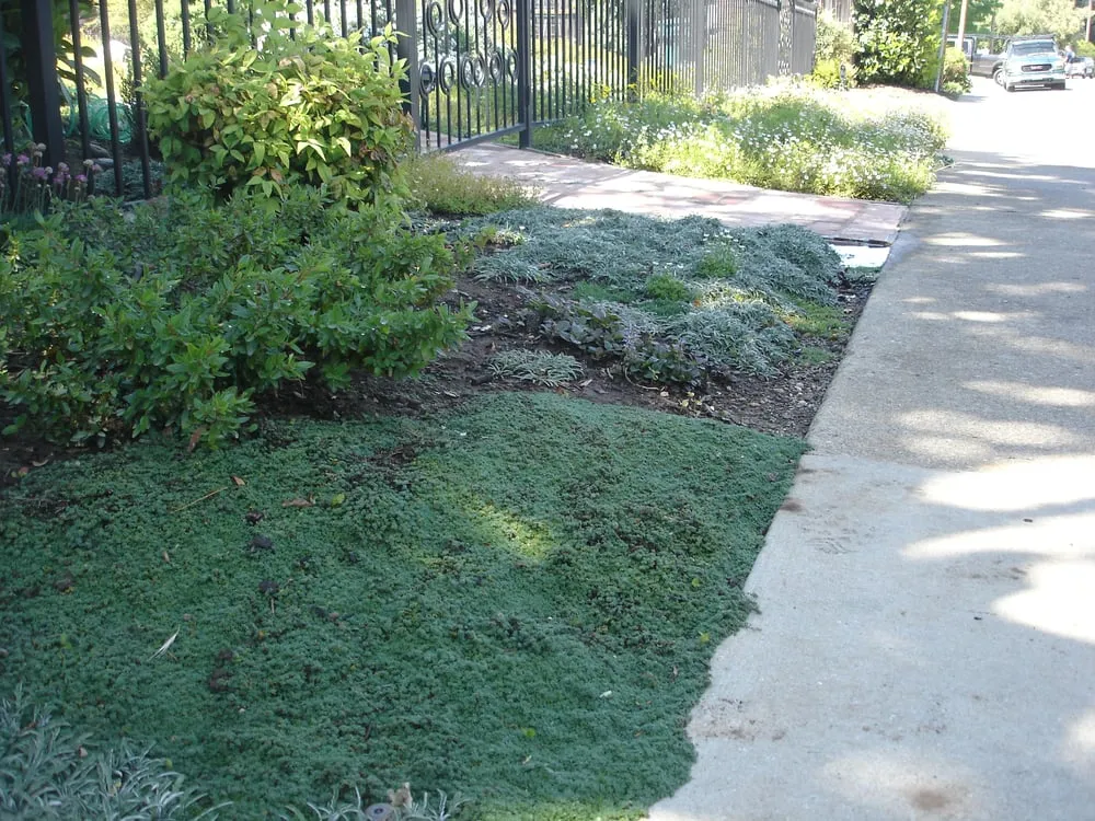 Local lawn care service with custom design in Redwood City, CA by Landscaping Bay Area