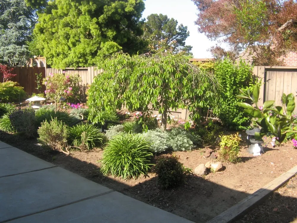 Professional yard cleanup service near you in Redwood City, CA by Landscaping Bay Area