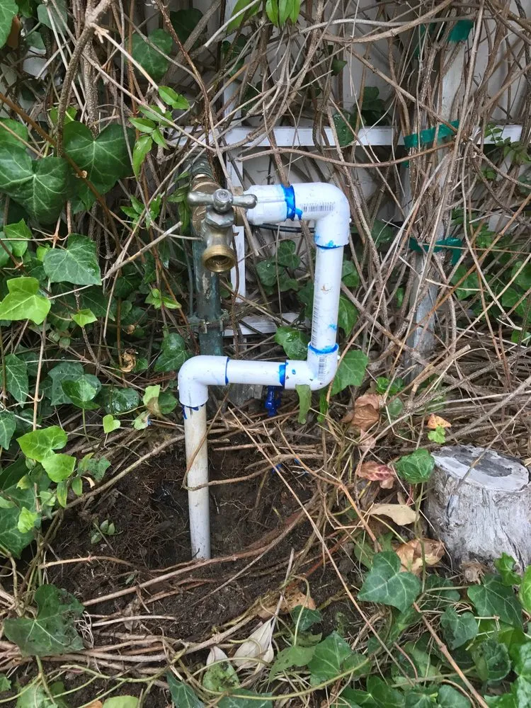 Top-rated lawn care service in Redwood City, CA by Landscaping Bay Area