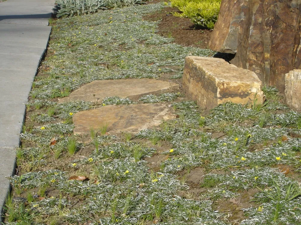 Trusted landscape design in Redwood City, CA - Landscaping Bay Area