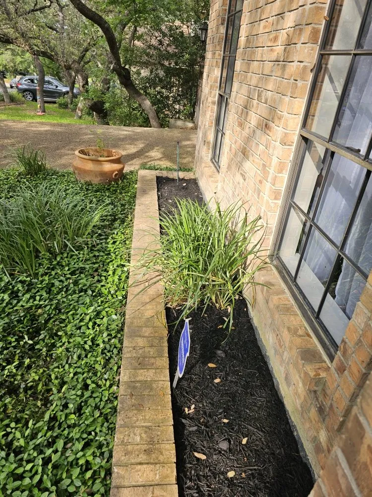 Reliable residential landscaping for year-round maintenance across San Antonio, TX - Landscaping BBS - Black Belt Service