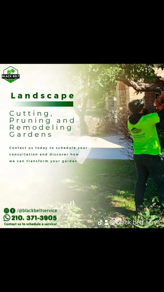 Custom lawn care service in San Antonio, TX by Landscaping BBS - Black Belt Service