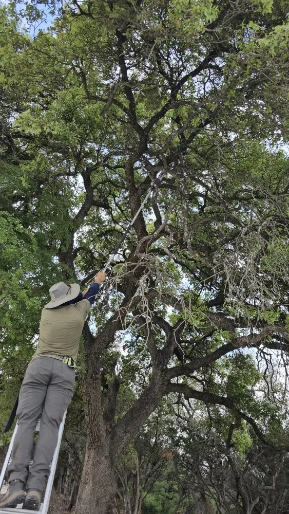 Professional lawn mowing service experts serving San Antonio, TX - Landscaping BBS - Black Belt Service