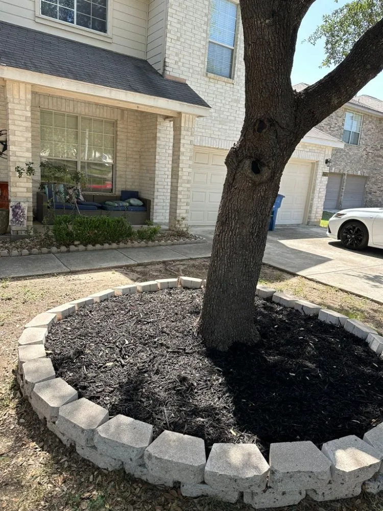Top-rated yard cleanup service in San Antonio, TX - Landscaping BBS - Black Belt Service