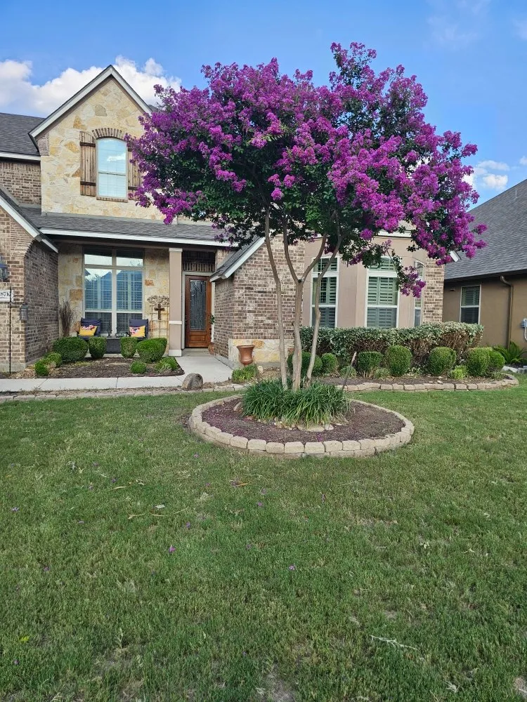 Reliable yard maintenance for homes across San Antonio, TX - Landscaping BBS - Black Belt Service