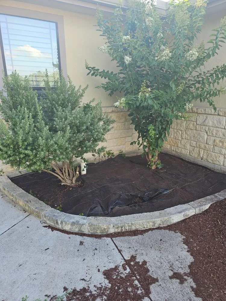 Reliable residential landscaping in San Antonio, TX by Landscaping BBS - Black Belt Service