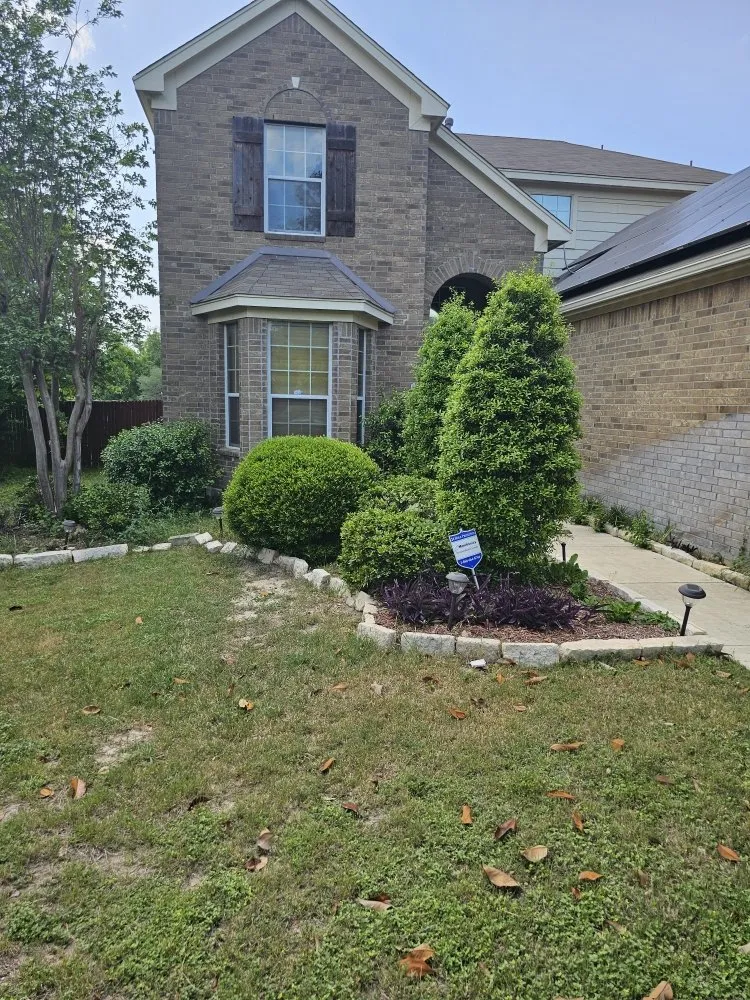 Custom yard cleanup service experts serving San Antonio, TX - Landscaping BBS - Black Belt Service