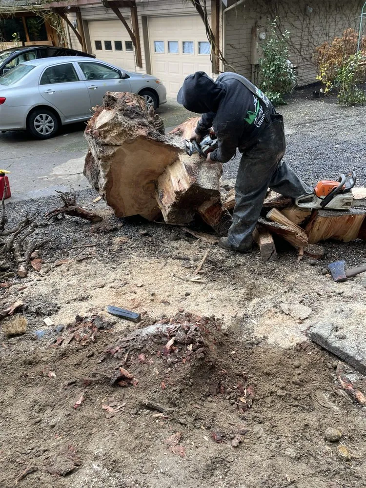 Top-rated residential landscaping in Bremerton, WA by Landscaping