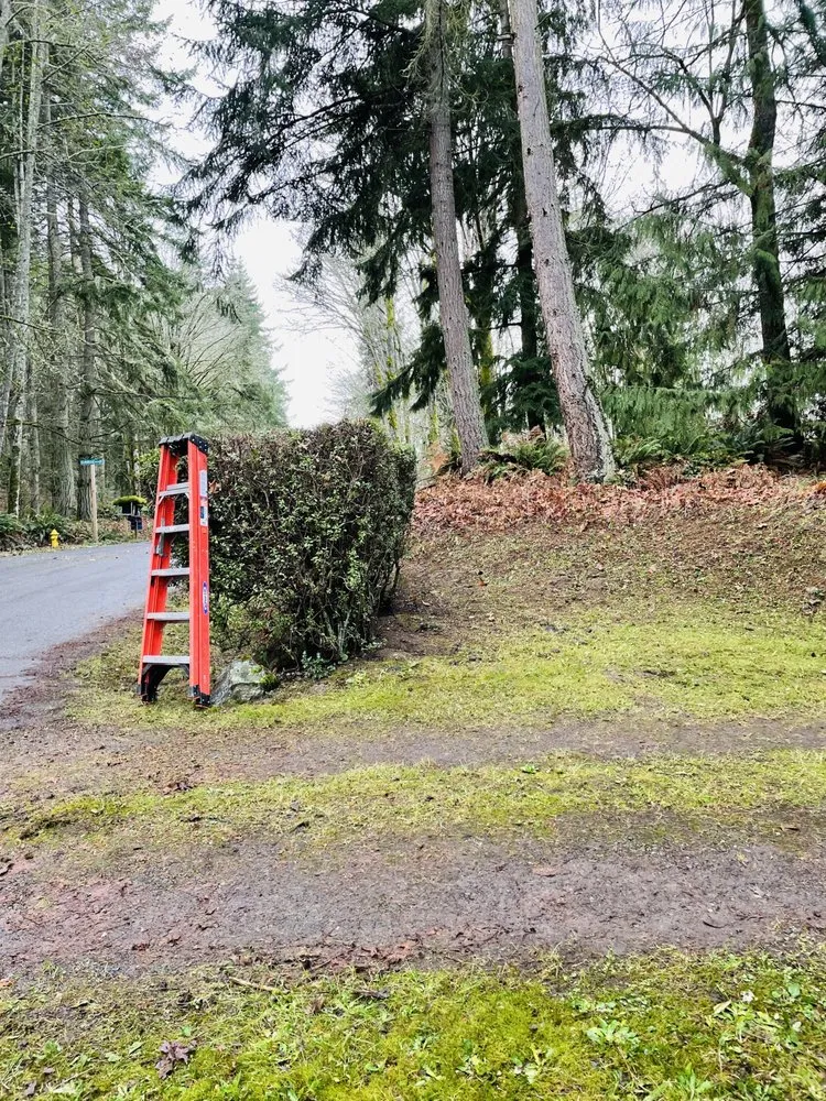 Local yard cleanup service in Bremerton, WA - Landscaping