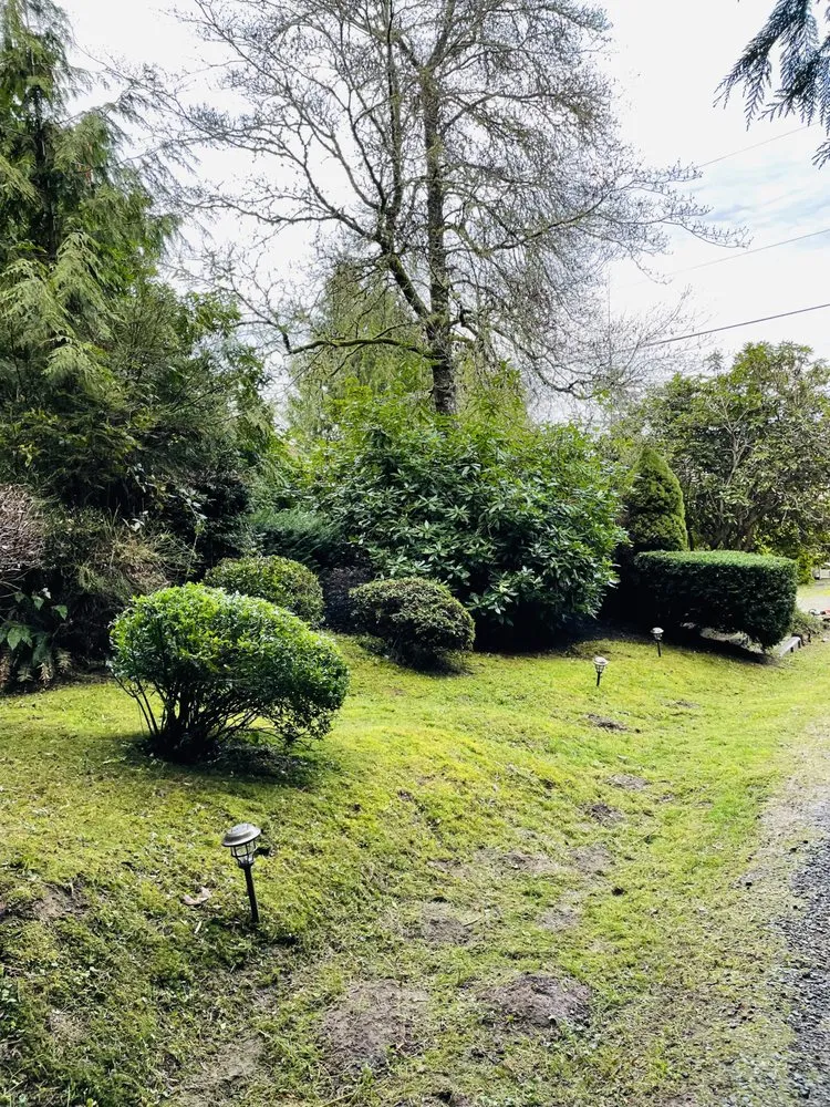 Expert landscape design experts serving Bremerton, WA - Landscaping