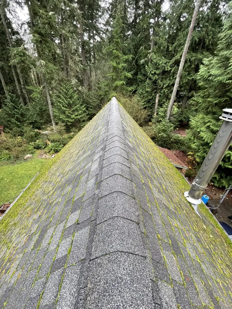 Custom lawn mowing service experts serving Bremerton, WA - Landscaping