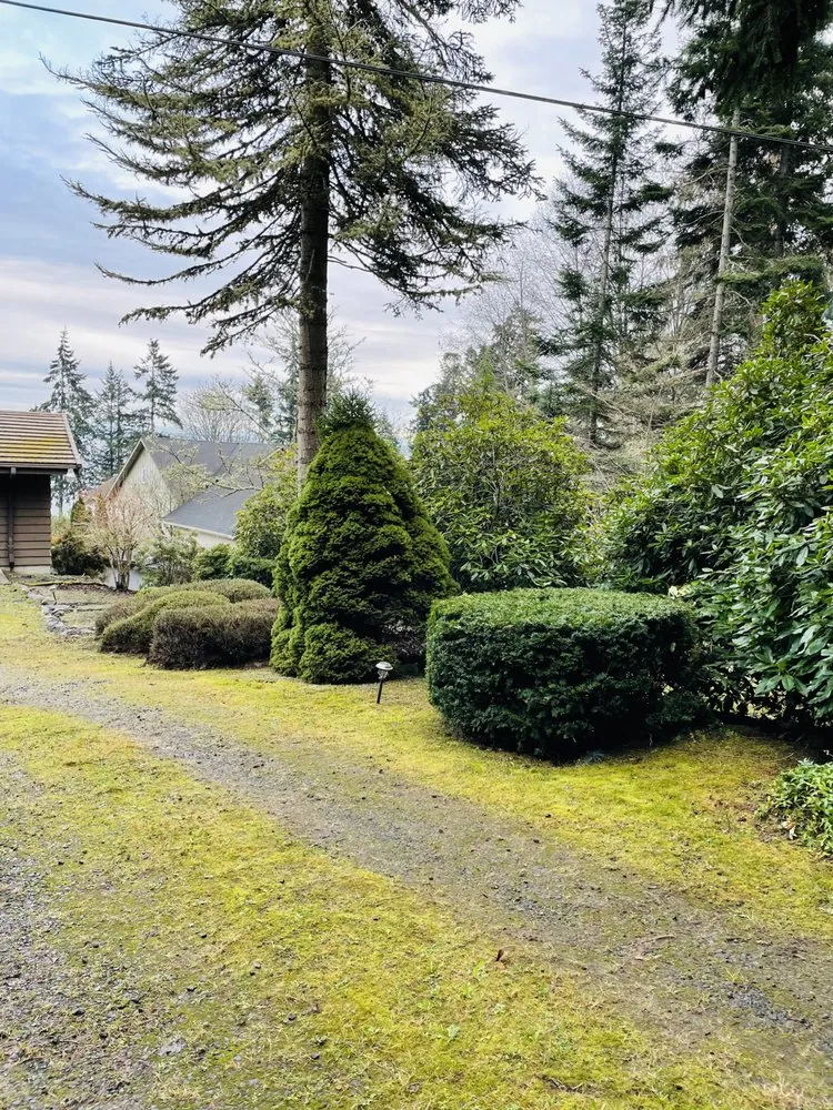 Affordable landscaping services in Bremerton, WA by Landscaping