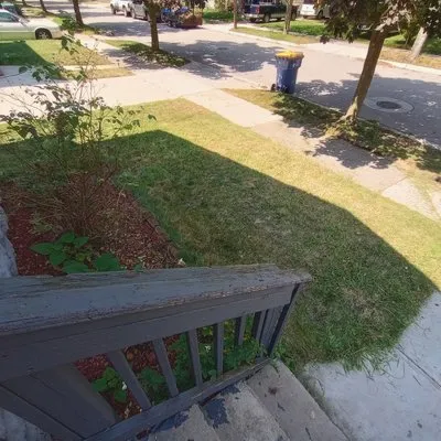 Landscaping Brothers Logo