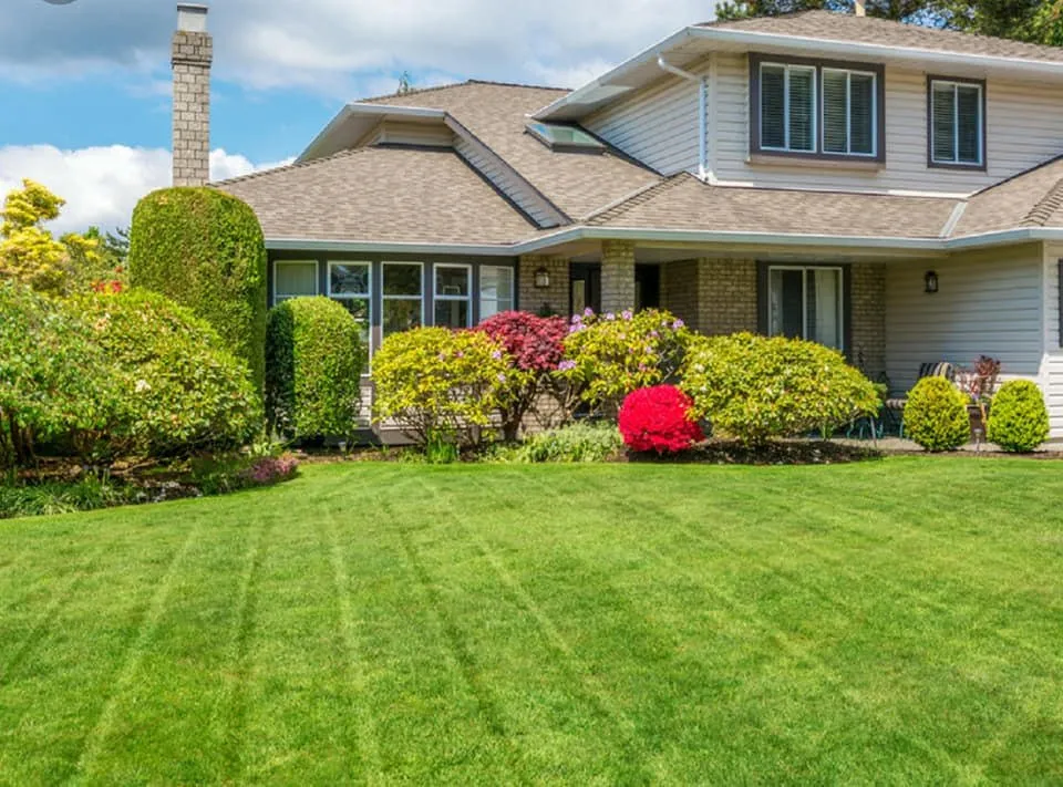 Expert yard cleanup service in Lawton, OK by Landscaping By A & D