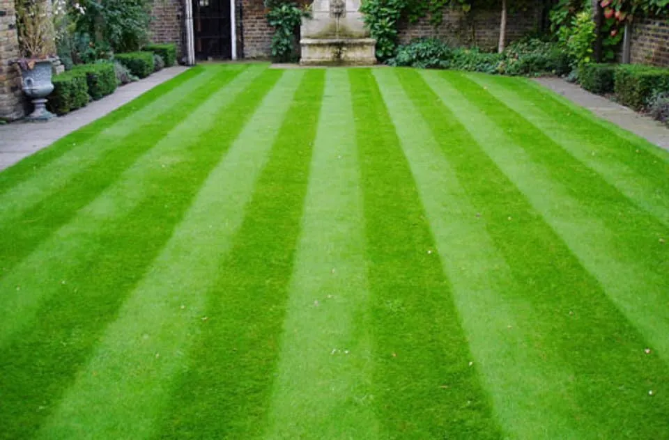 Expert lawn care service near you across Lawton, OK - Landscaping By A & D