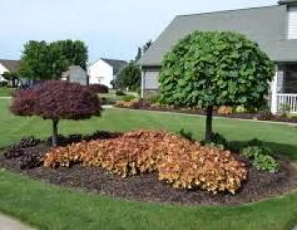 Local landscape installation in Lenoir City, TN - Landscaping By Angel Rivera