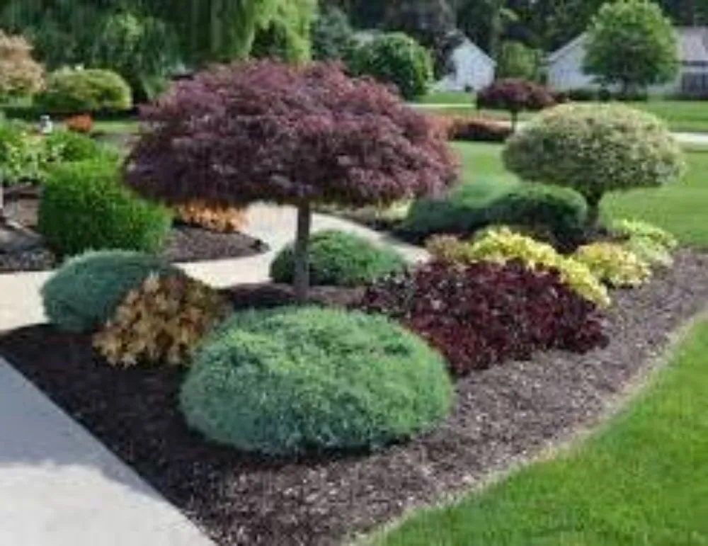Expert yard maintenance near you in Lenoir City, TN by Landscaping By Angel Rivera