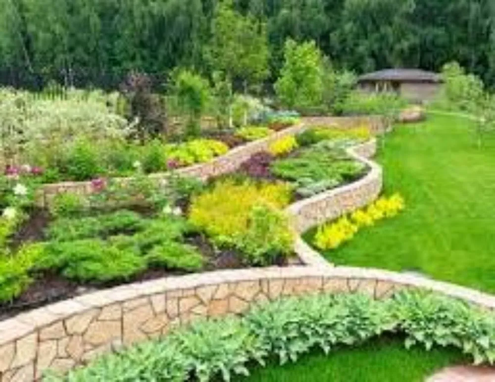 Top-rated yard cleanup service in Lenoir City, TN - Landscaping By Angel Rivera
