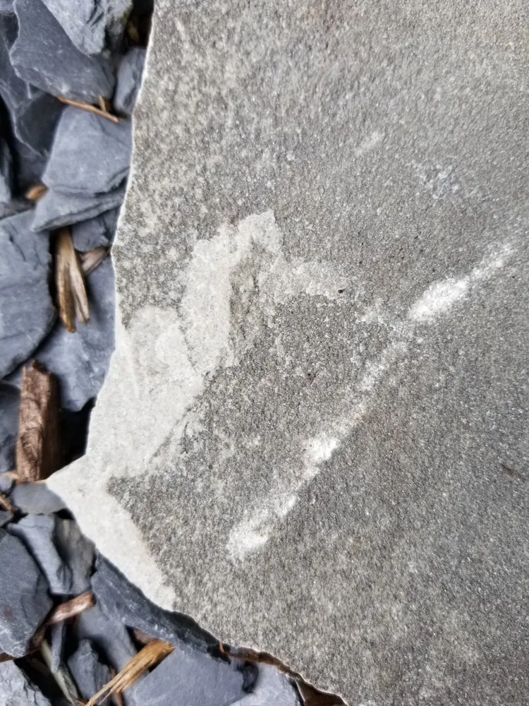 Top-rated landscape installation experts serving Port St Lucie, FL - Landscaping By Anthony