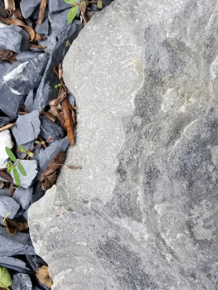 Local residential landscaping for homes in Port St Lucie, FL by Landscaping By Anthony