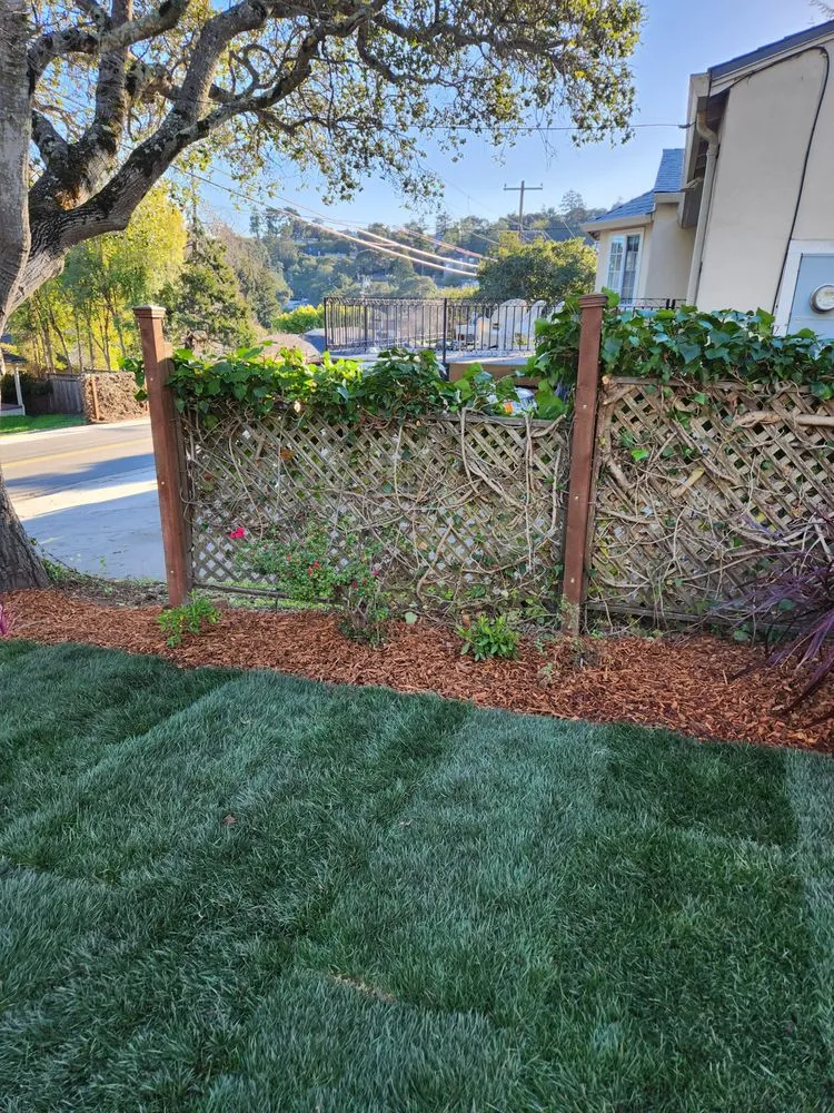 Affordable outdoor landscaping experts serving San Mateo, CA - Landscaping by Christian