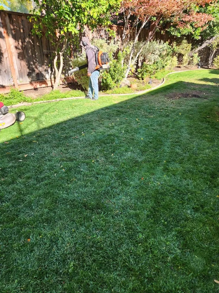 Local landscaping services in San Mateo, CA by Landscaping by Christian