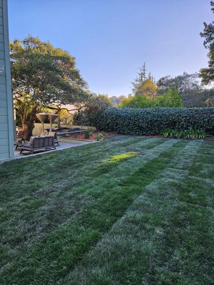 Trusted lawn mowing service experts serving San Mateo, CA - Landscaping by Christian