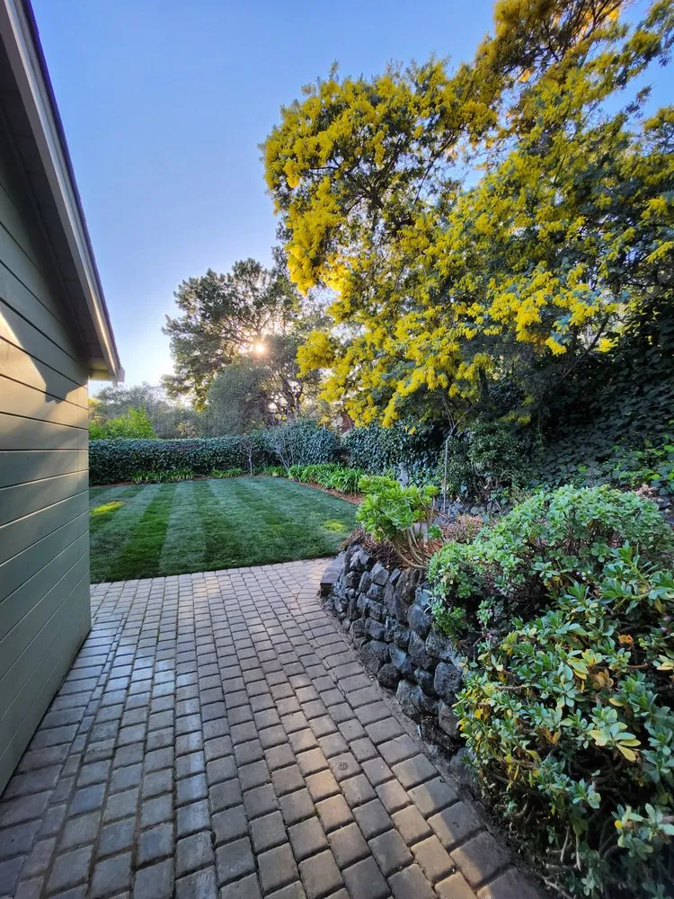 Expert residential landscaping in San Mateo, CA by Landscaping by Christian