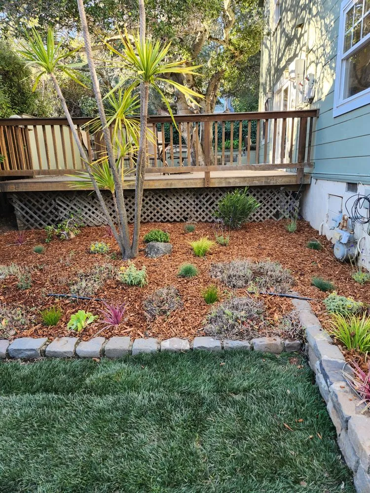 Top-rated lawn care service experts serving San Mateo, CA - Landscaping by Christian