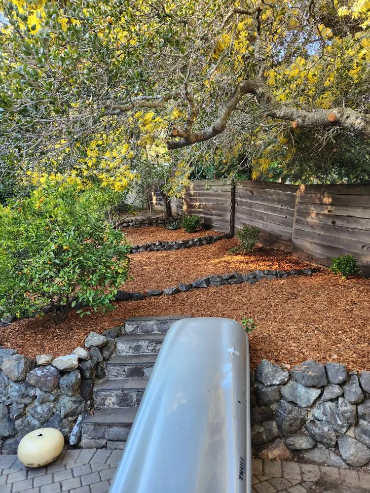 Affordable yard cleanup service in San Mateo, CA by Landscaping by Christian