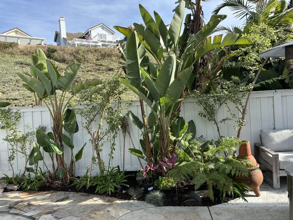 Trusted landscaping services experts serving San Clemente, CA - Landscaping By Cruz Tree Services