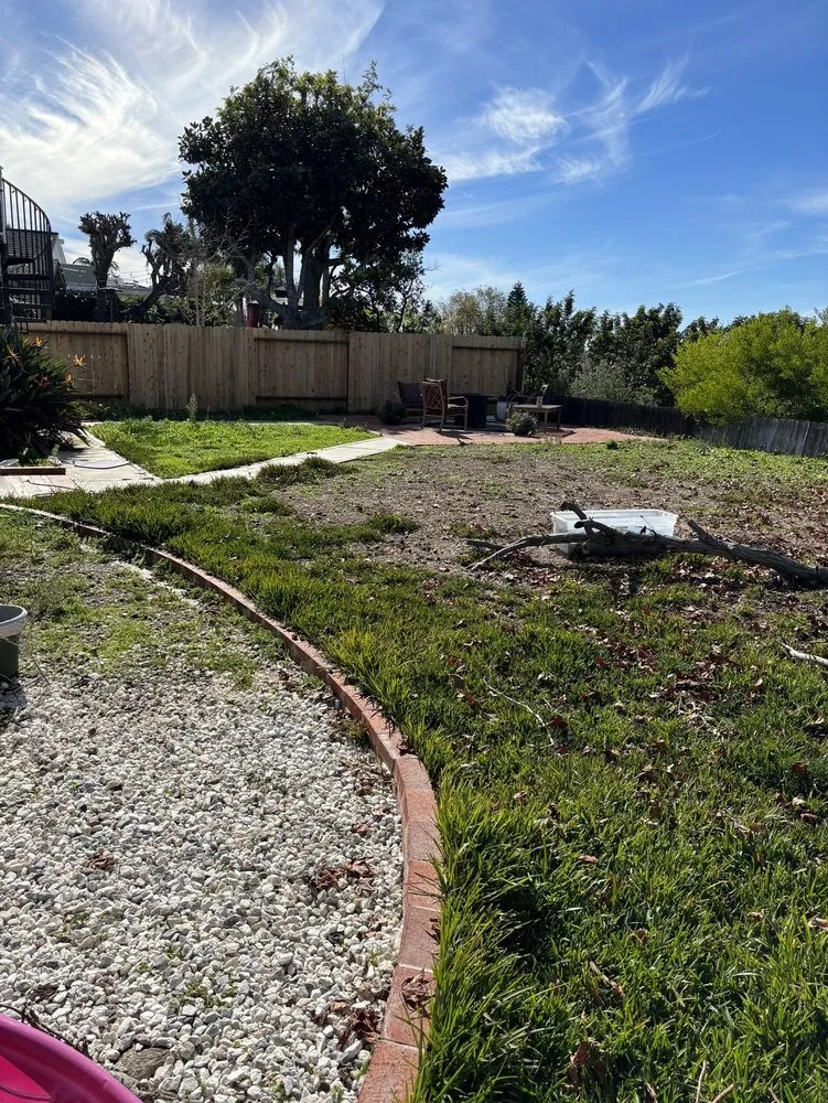 Local yard maintenance in San Clemente, CA - Landscaping By Cruz Tree Services