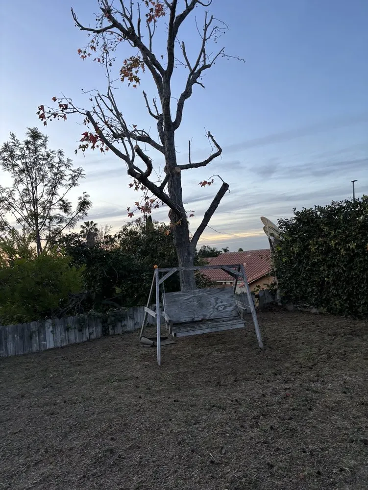Local landscape design for homes across San Clemente, CA - Landscaping By Cruz Tree Services