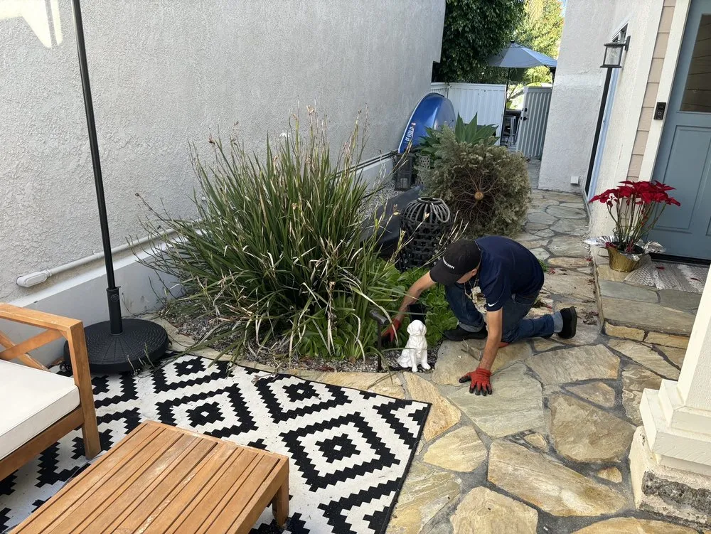 Expert yard cleanup service for outdoor upgrades across San Clemente, CA - Landscaping By Cruz Tree Services