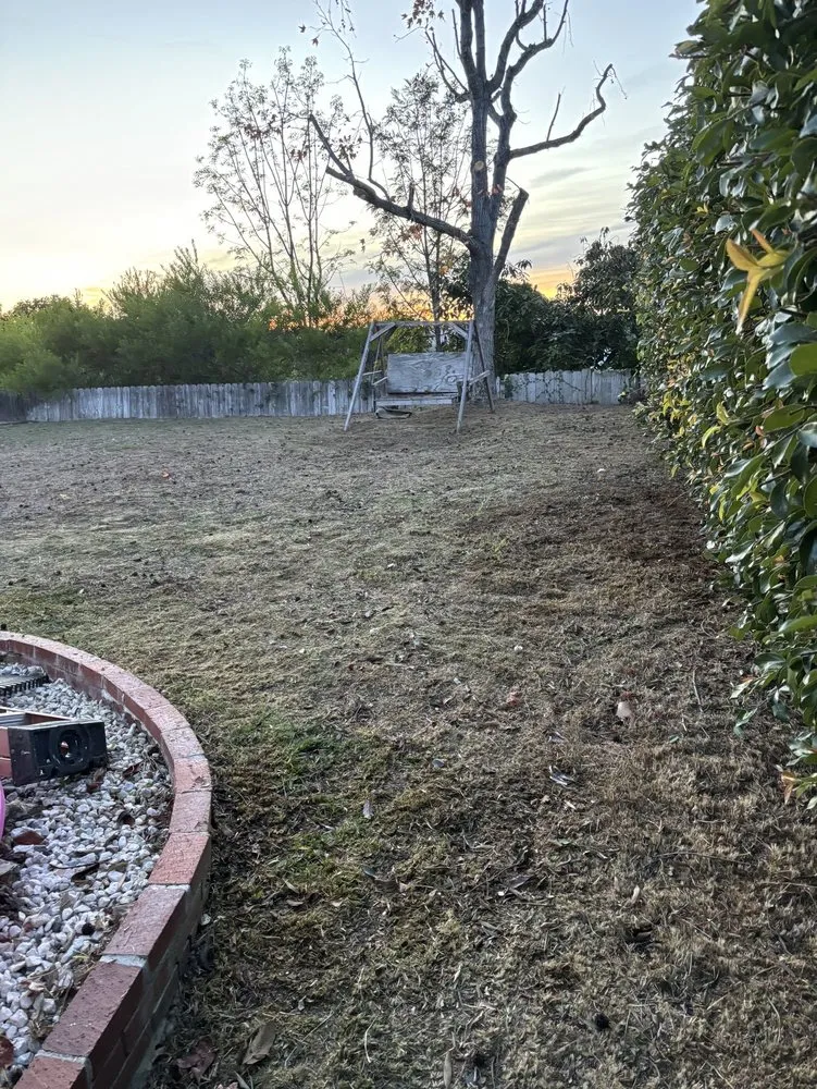 Local landscape installation experts serving San Clemente, CA - Landscaping By Cruz Tree Services