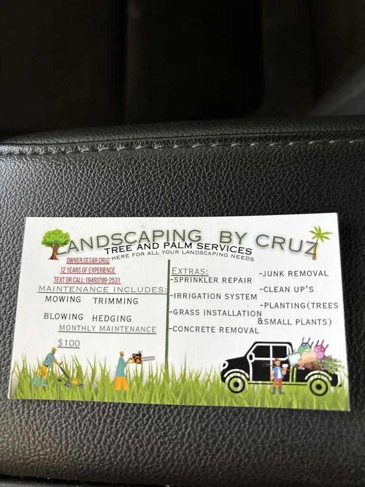 Trusted yard cleanup service for residential properties in San Clemente, CA by Landscaping By Cruz Tree Services