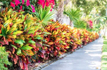Reliable landscape installation in Inverness, FL - Landscaping by Dave Long