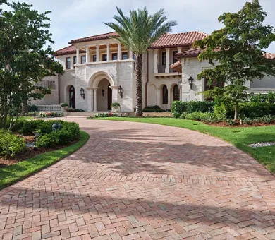 Custom landscaping services for beautiful yards across Inverness, FL - Landscaping by Dave Long