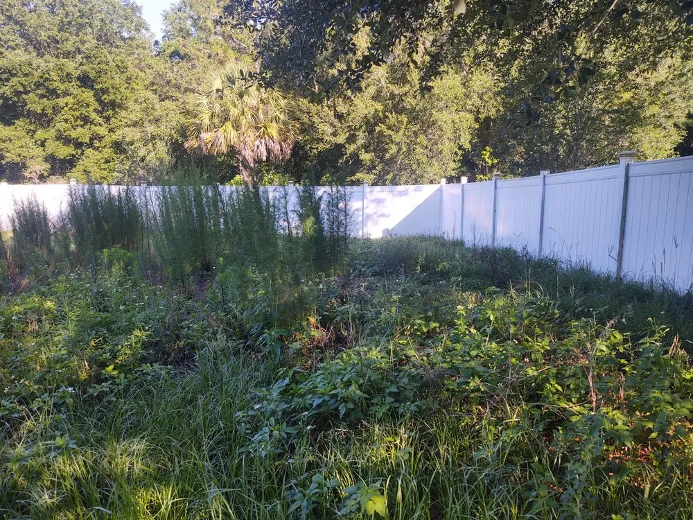 Custom lawn mowing service for beautiful yards in Inverness, FL by Landscaping by Dave Long